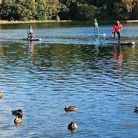Homes - The Mews Appartement